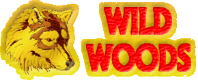 Wild Woods